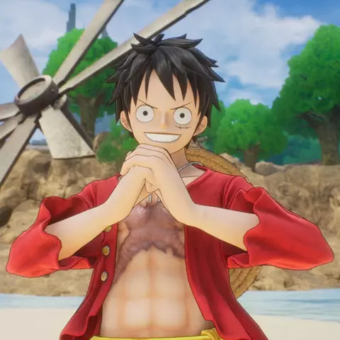 Merchandising One Piece