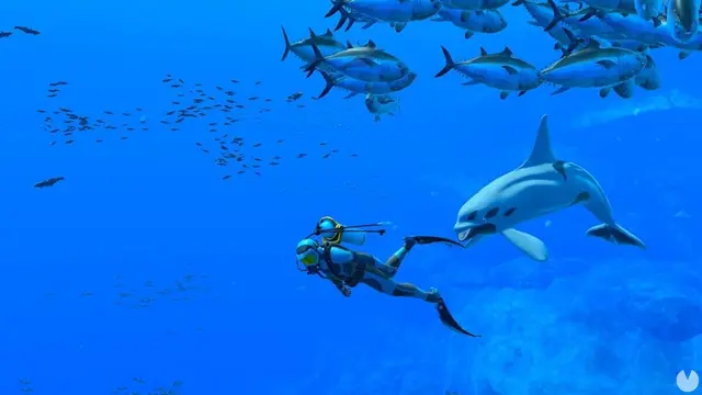 Comprar Endless Ocean: Luminous Switch Estándar screen 1
